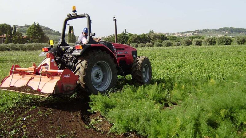 Monte Compatri, il Consorzio Ro.ma forma gratuitamente 75 imprenditori agricoli