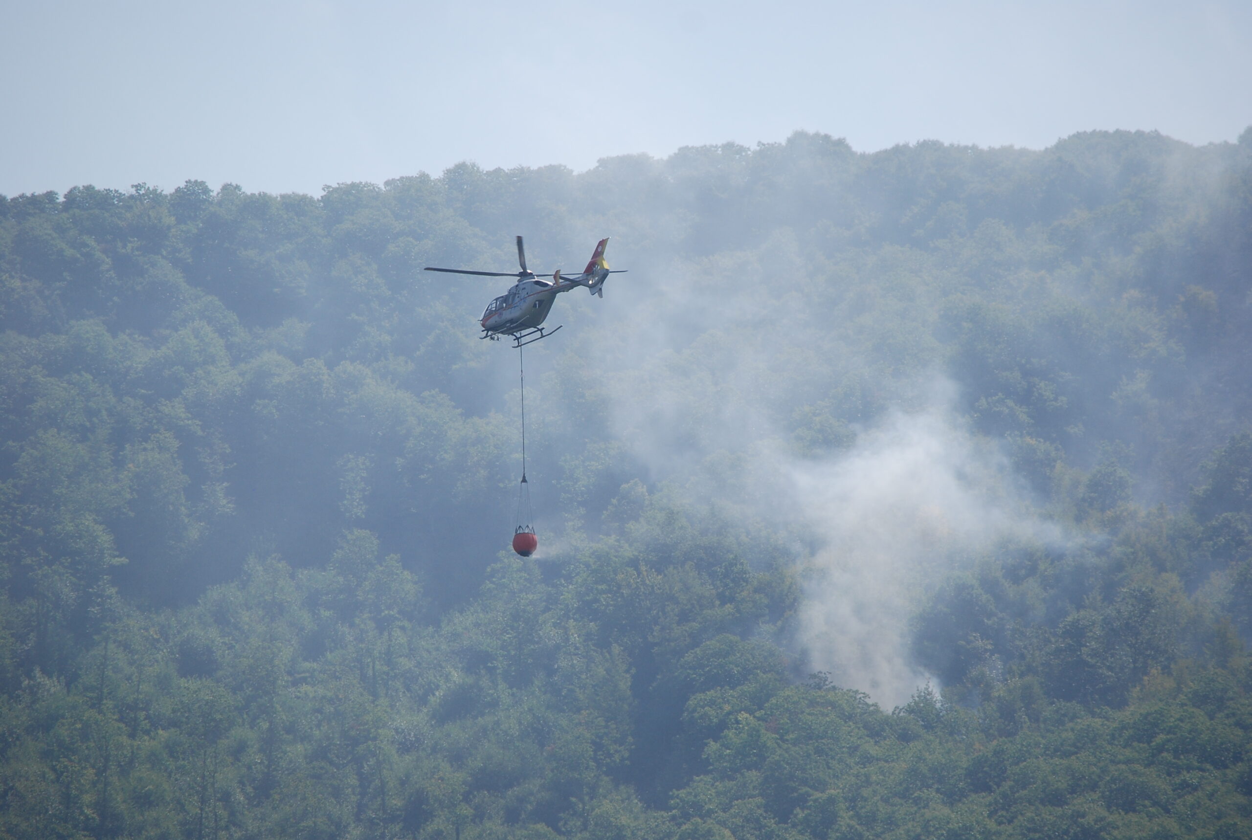 Velletri, bonificato l’incendio dopo quasi 24 ore di lavoro di protezione civile e pompieri