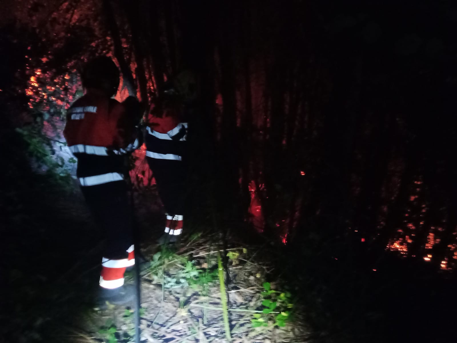 Velletri, si indaga sull’incendio del monte Artemisio