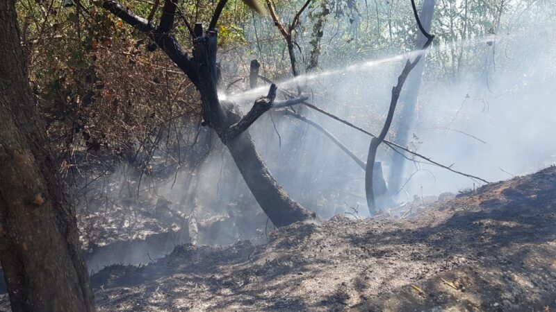 Lanuvio, incendio sulla scarpata ferroviaria, tratta interrotta per ore