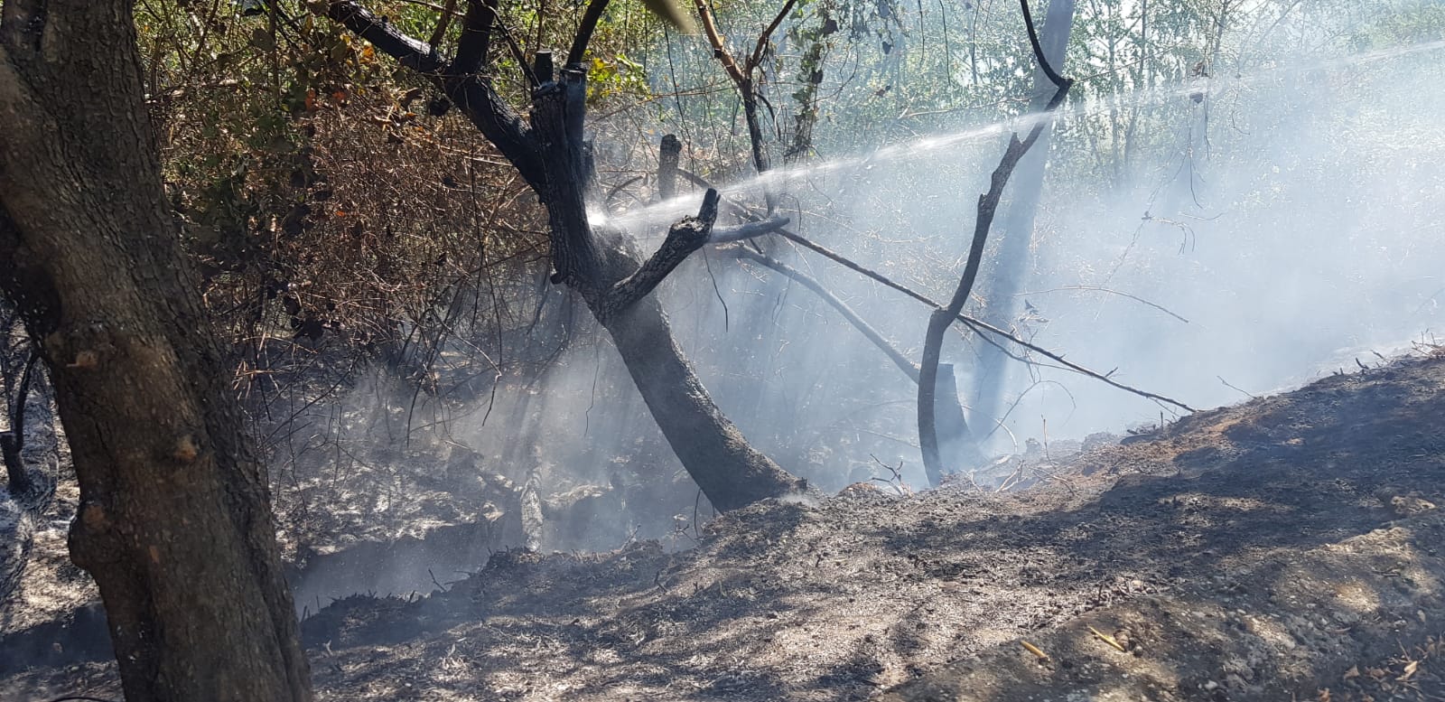 Lanuvio, incendio sulla scarpata ferroviaria, tratta interrotta per ore