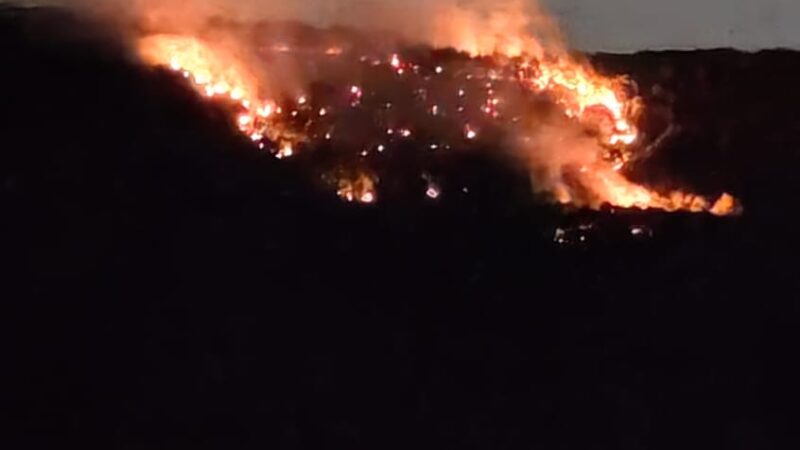 Ambiente, incendi e devastazione: il mondo va in fiamme