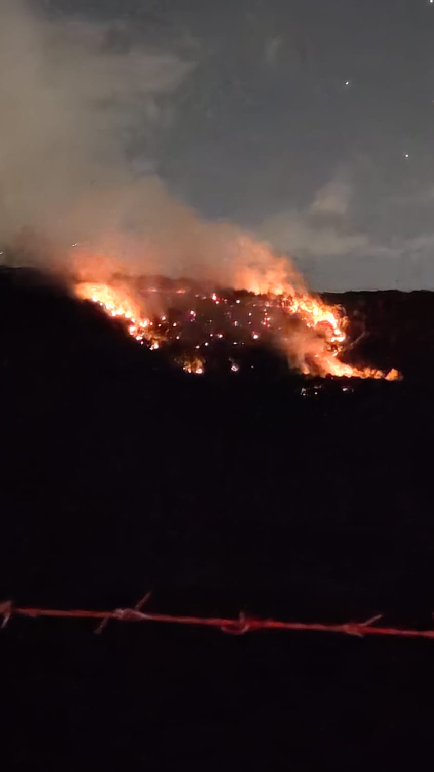 Ambiente, incendi e devastazione: il mondo va in fiamme