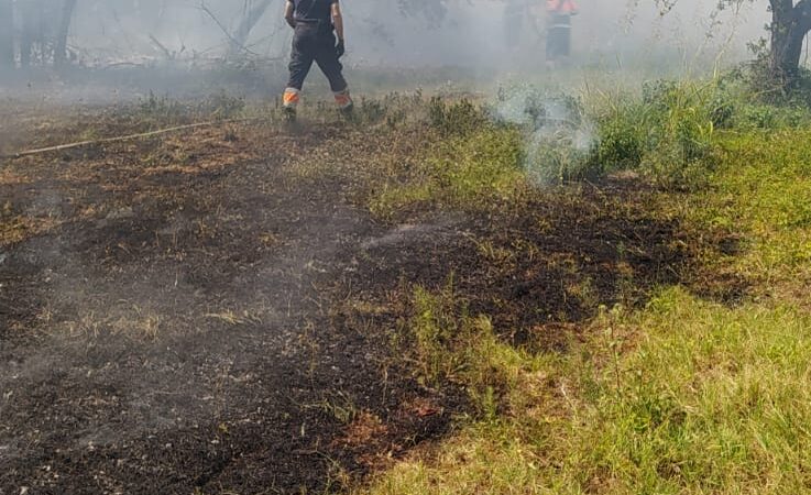 Genzano, incendiata una baracca abitata da senzatetto