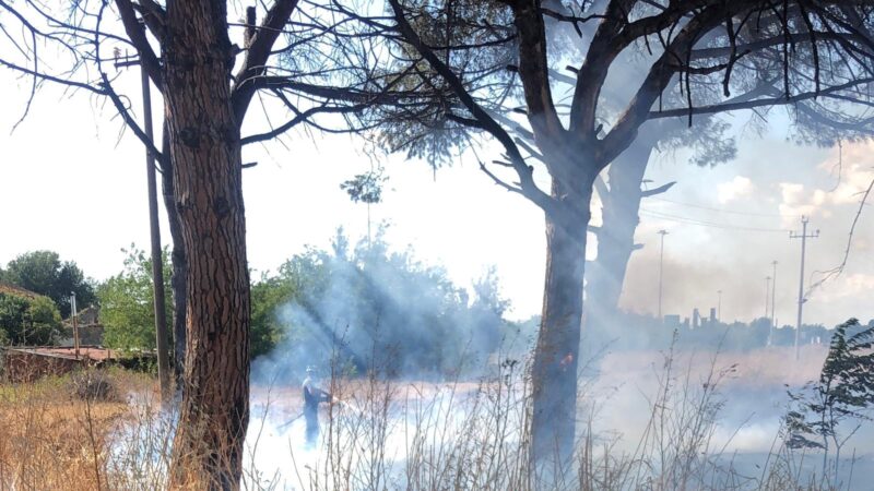 La Barbuta, divampato un incendio nell’ex campo nomadi