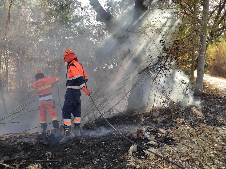 Lanuvio, ancora incendi vicino la ferrovia Roma-Velletri