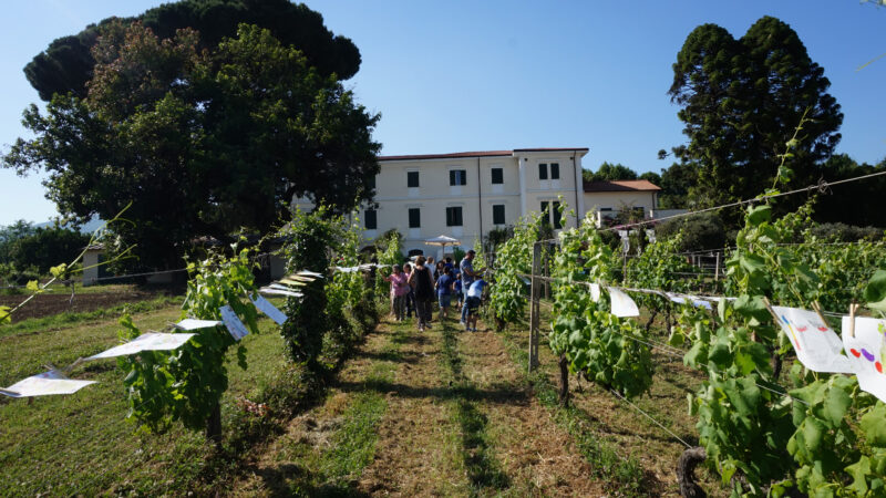 Velletri, dall’1 al 3 ottobre torna il Festival della Cultura del Vino con una edizione tutta da gustare