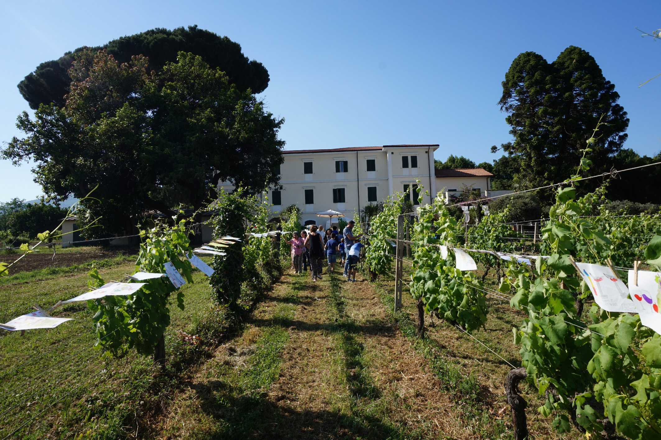 Velletri, dall’1 al 3 ottobre torna il Festival della Cultura del Vino con una edizione tutta da gustare