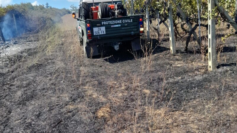 Genzano, ancora campi in fiamme a via della Selvotta