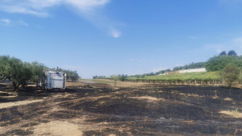 Genzano, prontamente spento dai VVF e dalla protezione civile l’incendio in Via delle Vigne Nuove