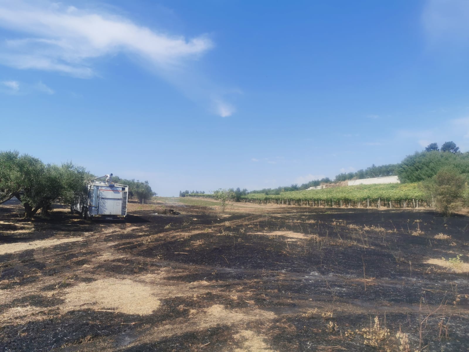 Genzano, prontamente spento dai VVF e dalla protezione civile l’incendio in Via delle Vigne Nuove