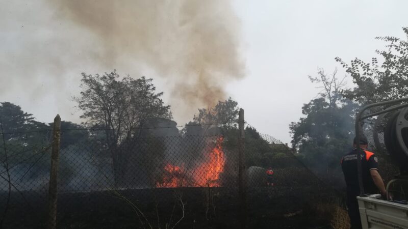 Marino, scoppiati vasti incendi al confine con Grottaferrata