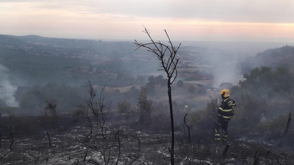 Monte Compatri, caccia al piromane sui monti dei Castelli romani, devastate molte aree verdi dagli incendi dolosi