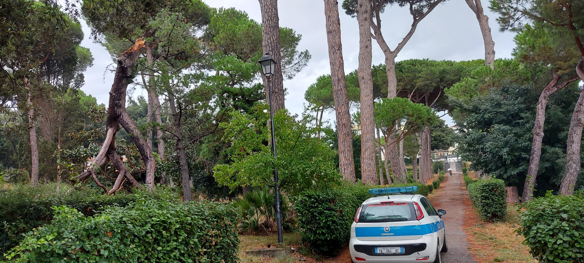 Castelli romani, Albano: maltempo causa numerosi disagi, rami caduti e allagamenti