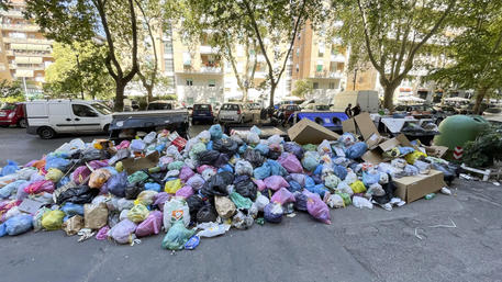 La rivista Time Out ha eletto Roma come la città più sporca del mondo ma a Roncigliano lo sapevano già