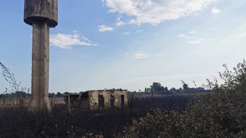 Velletri, intervento di Vigili del Fuoco e Protezione Civile  per spegnere un incendio in zona Cisternense