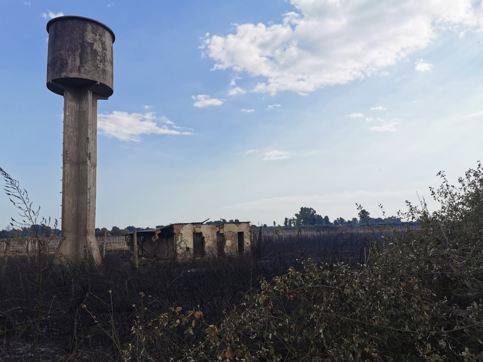 Velletri, intervento di Vigili del Fuoco e Protezione Civile  per spegnere un incendio in zona Cisternense