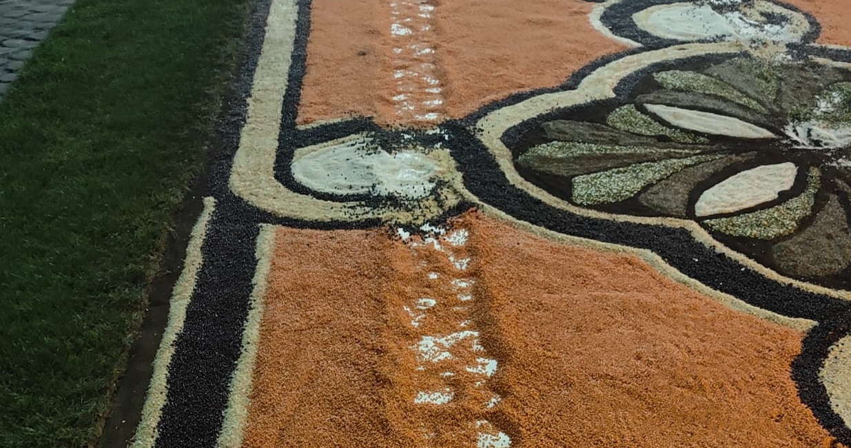 Genzano, rintracciato il ragazzo che era passato sull’Infiorata con la sua macchina