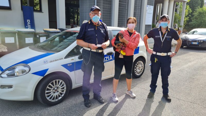 Castel Gandolfo, fuga a lieto fine  per una bassotta grazie alla Polizia Locale