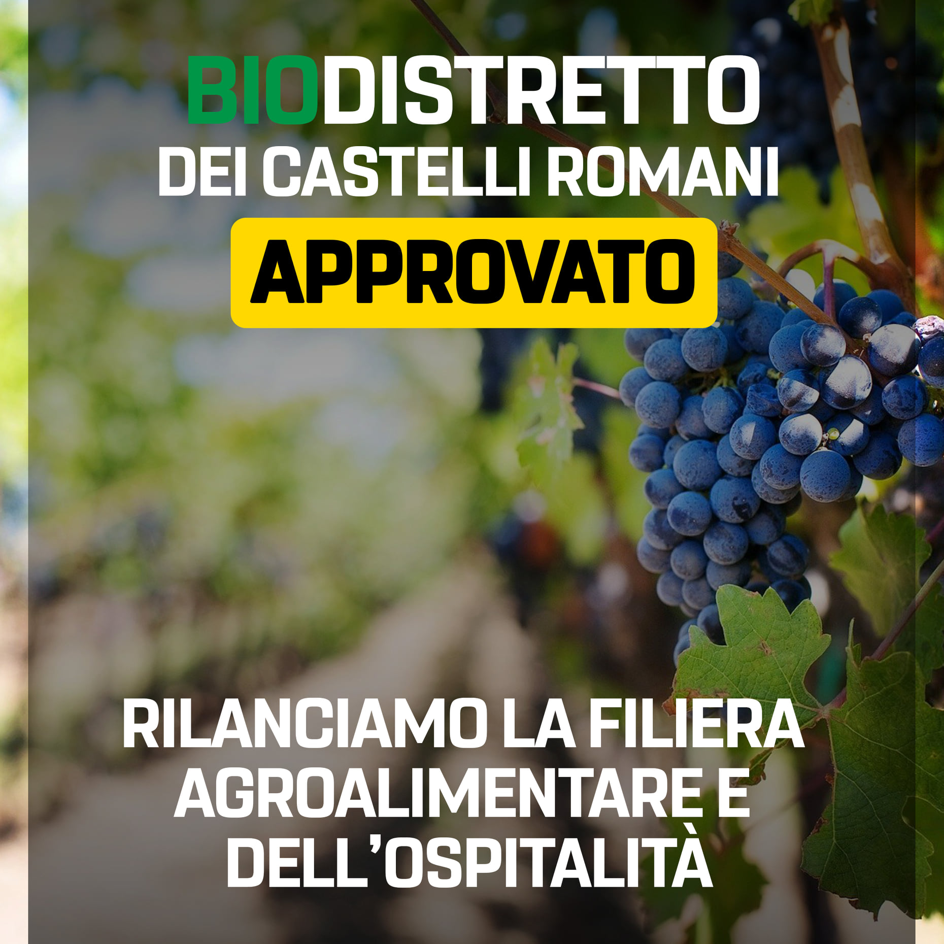 Marino, Biodistretto dei castelli romani: parte la riscossa della filiera agroalimentare e dell’ospitalità