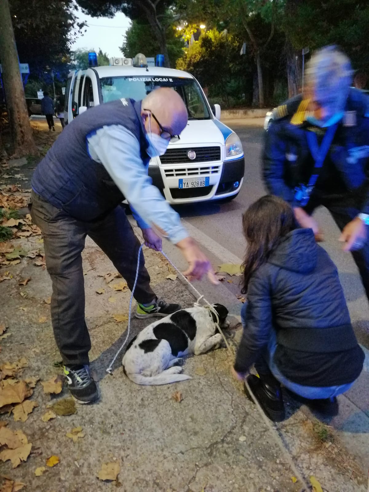 Genzano, agenti della polizia locale salvano due cani su via Appia Nuova