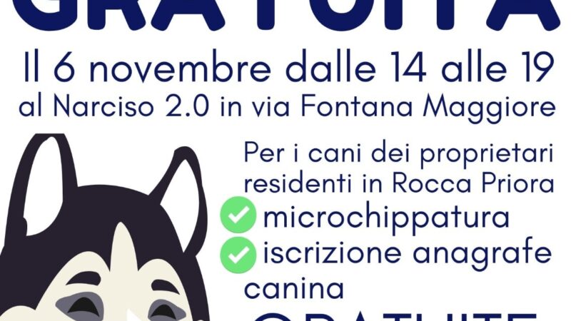 Rocca Priora, 6 novembre microchippatura gratuita dei cani