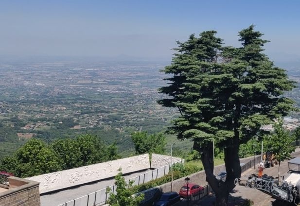 Rocca Priora, tre alberi entrano nell’Elenco degli alberi monumentali d’Italia