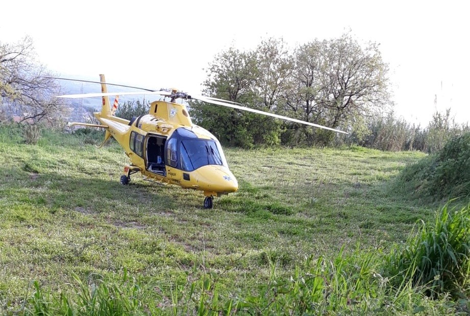 Albano, signora accusa malore mentre raccoglie olive e cade a terra. Soccorsa dall’eliambulanza.