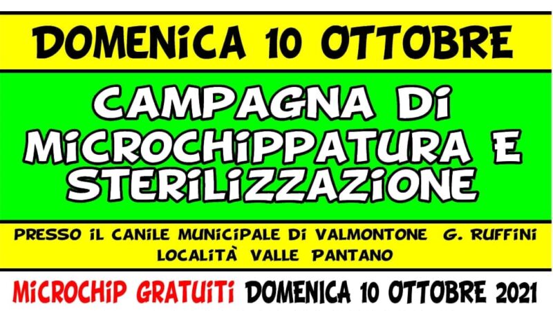 Valmontone, 10 ottobre campagna di microchippatura e sterilizzazione