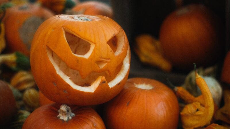 Genzano, 31 ottobre giornata dedicata ad Halloween in Piazza Tommaso Frasconi