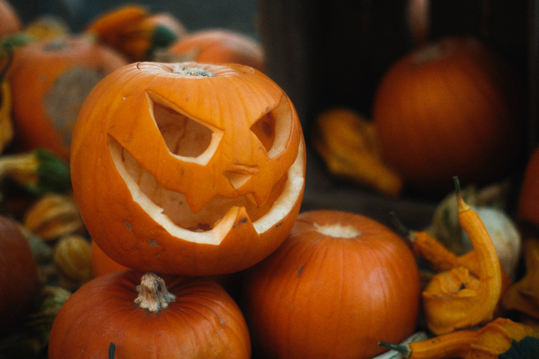 Genzano, 31 ottobre giornata dedicata ad Halloween in Piazza Tommaso Frasconi