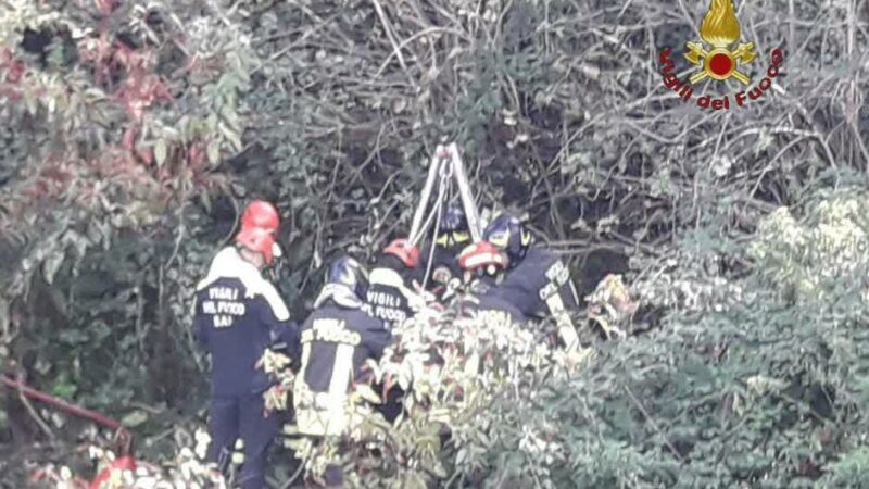 Marino, soccorsi due cani caduti in un pozzo di 5 metri