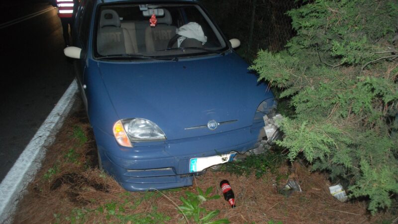 Velletri, grosso cinghiale attraversa via Appia Nuova e provoca doppio incidente con ferito