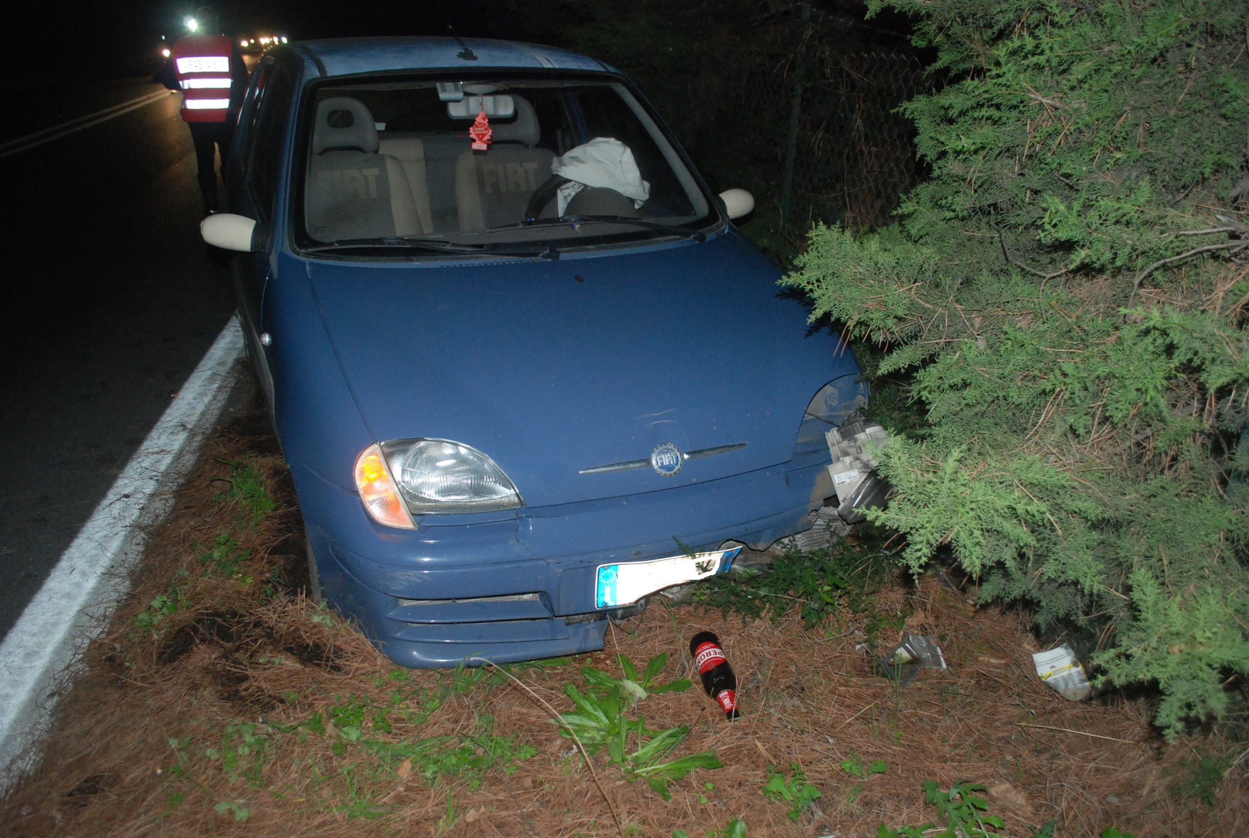 Velletri, grosso cinghiale attraversa via Appia Nuova e provoca doppio incidente con ferito