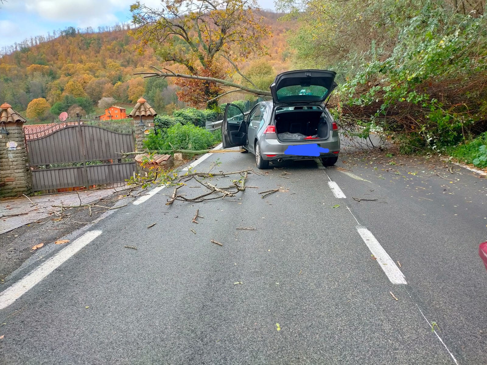 Velletri, grosso albero su auto in transito in via dei Laghi illeso il conducente strada chiusa per due ore