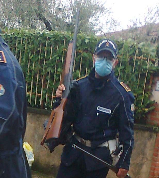 Velletri, momenti di panico in via Cinelli, cane pastore uccide yorkshire, un vicino di casa gli spara in testa per difendere i presenti: ferito gravemente