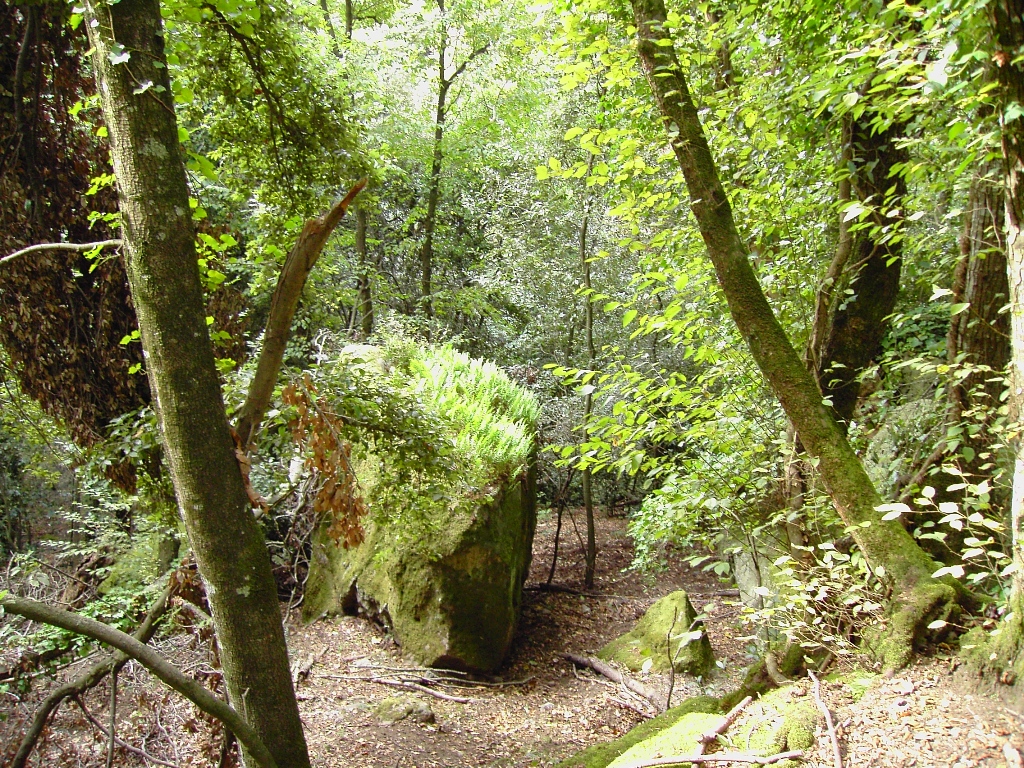 “Ariccia da amare Christmas”, domenica 19 dicembre “Passeggiata archeologico-naturalistica nel Parco Chigi”