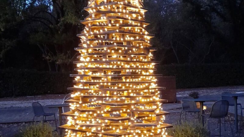 Ariccia, al Parco Romano del Biodistretto, arriva l ‘albero di Natale Ecologico