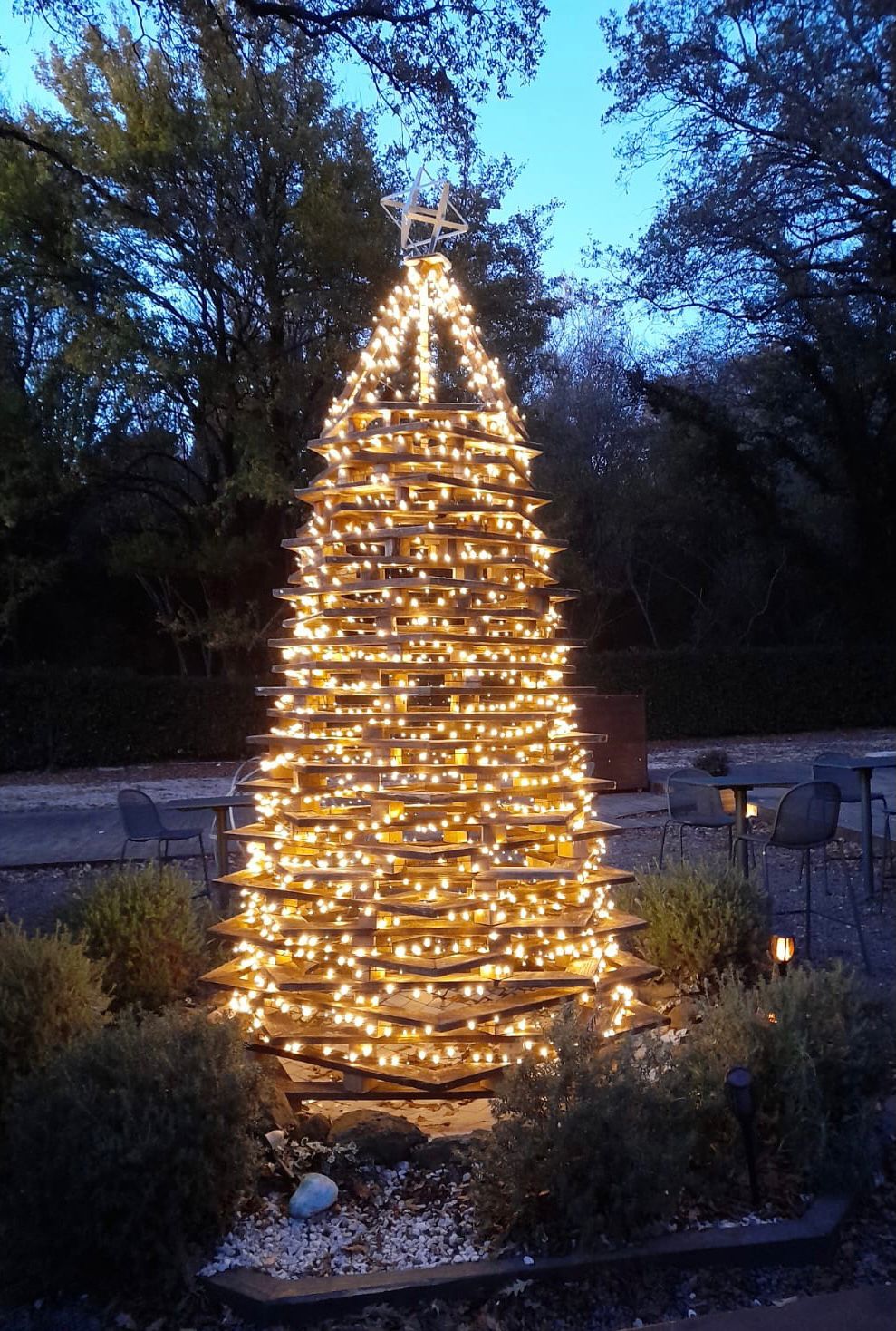 Ariccia, al Parco Romano del Biodistretto, arriva l ‘albero di Natale Ecologico