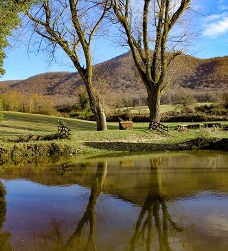 A Rocca di Papa nasce il “Fuori Mondiale”, un evento che si svolgerà in concomitanza dei FEI World Championships 2022￼