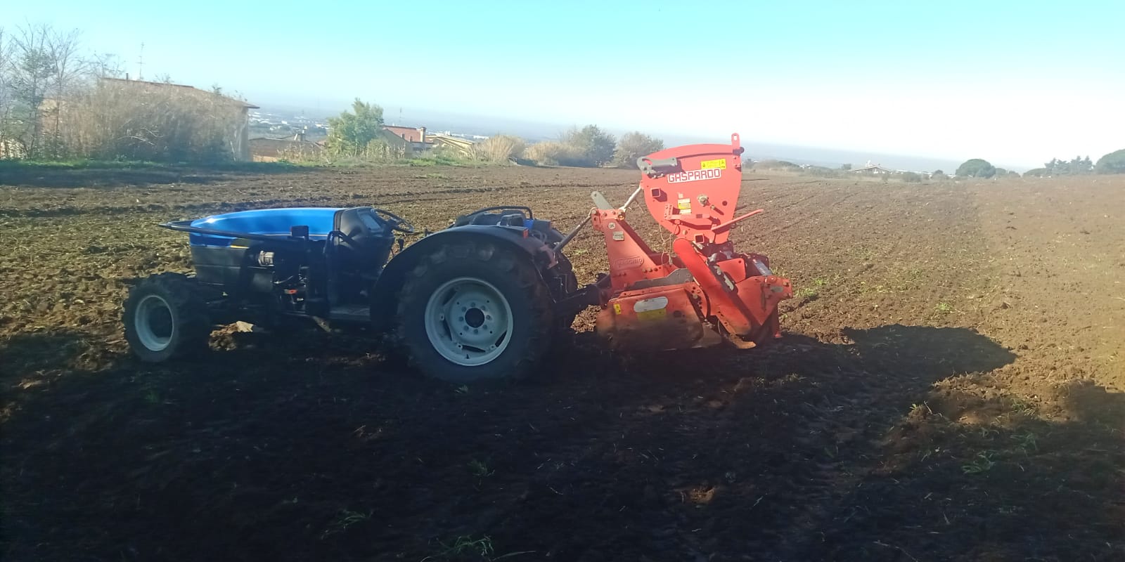 Genzano, Ariccia e Lanuvio, gli ottimi prodotti biologici dei terreni agricoli