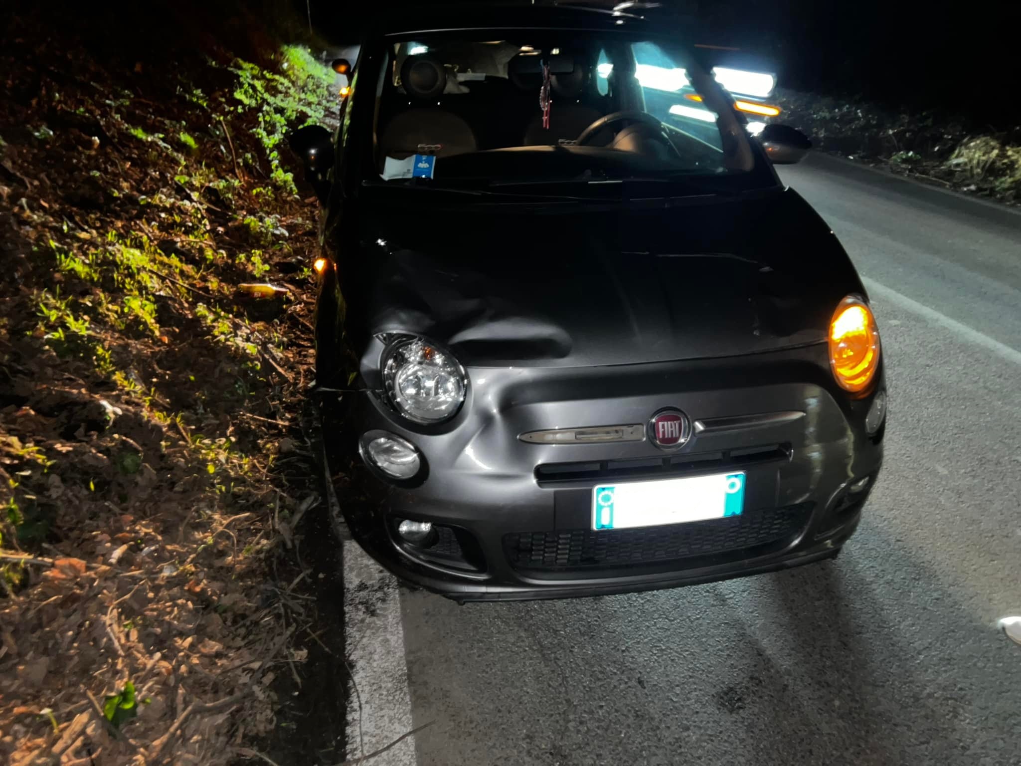 Nemi- Rocca di Papa, tori e mucche selvatici attraversano via dei laghi all’improvviso e provocano incidente. Danneggiata auto di una ragazza