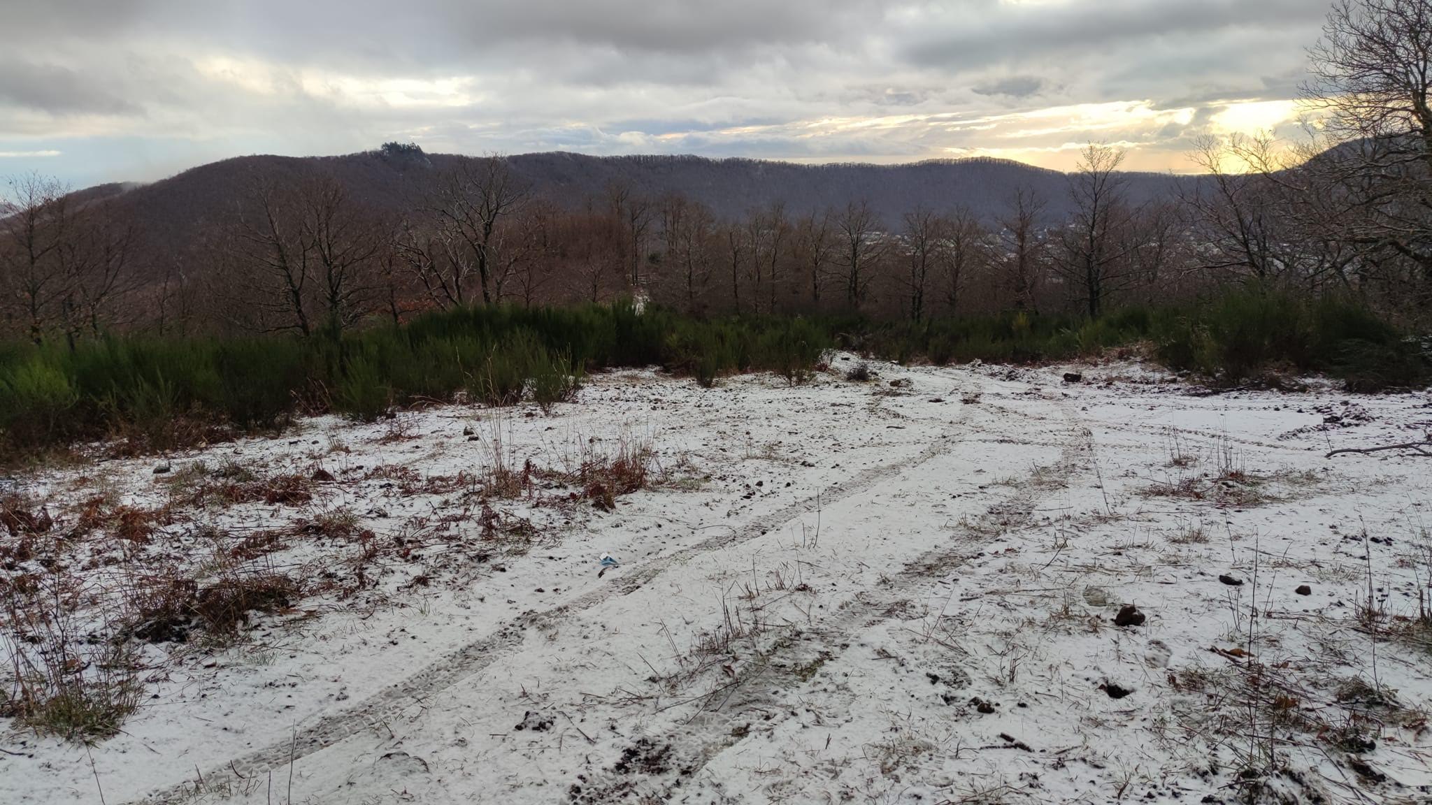 Castelli Romani, arrivata la neve in altura a 700-950 metri, imbiancati i Pratoni del Vivaro. Persiste il gelo in nottata e domani