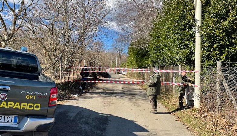 Rocca di papa, strada chiusa a causa della caduta di un palo telefonico