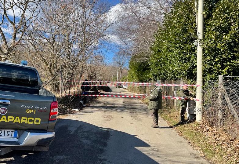 Rocca di papa, strada chiusa a causa della caduta di un palo telefonico