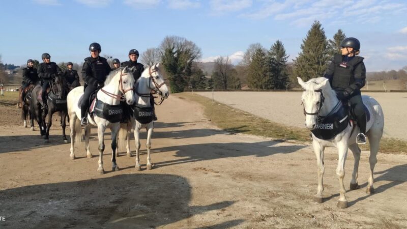 Rocca di Papa, carabinieri e polizia a cavallo per i controlli ai Pratoni del Vivaro