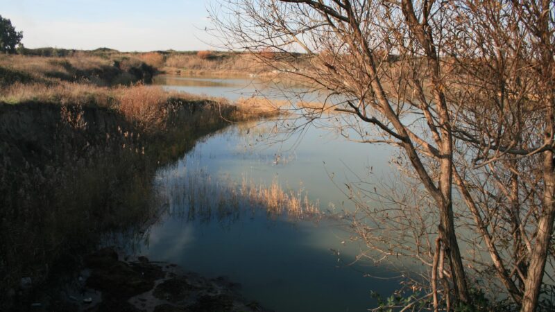 World Wetlands Day, il Comune di Pomezia celebra la biodiversità locale