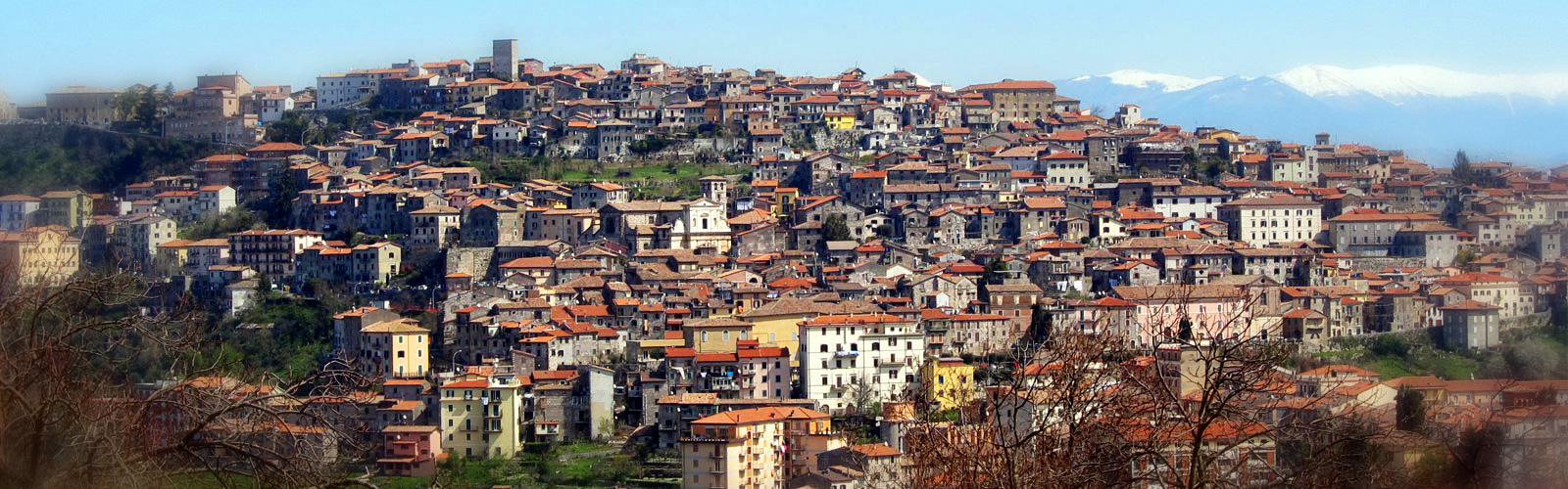 Segni, aggredito e ferito un agente della Polizia Locale a seguito di una sanzione al Codice della Strada