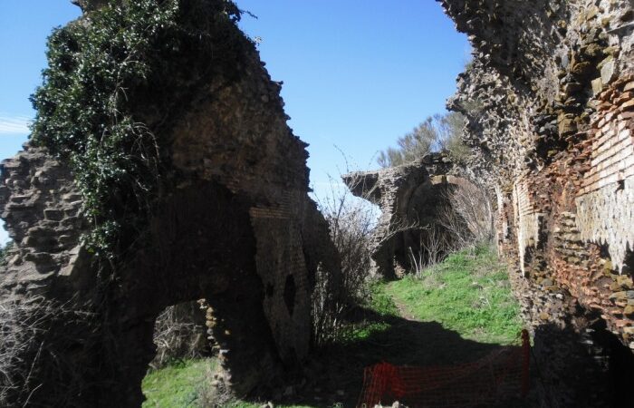 Monte Porzio Catone, Enotrekking dal Museo del Vino al Parco archeologico di Tuscolo