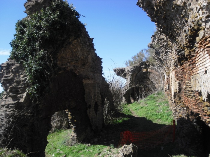 Monte Porzio Catone, Enotrekking dal Museo del Vino al Parco archeologico di Tuscolo